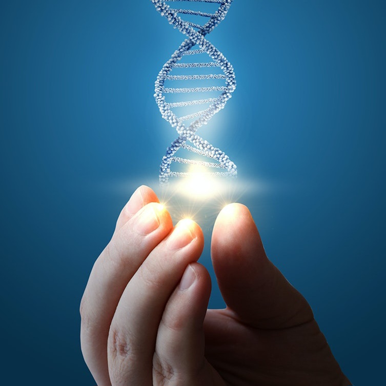 DNA Healing and Activation